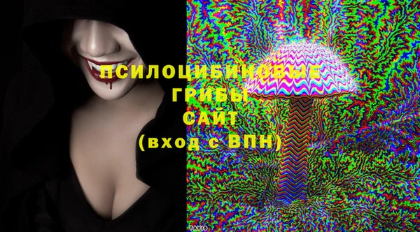 прущий лед Алексин