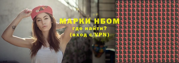 шишки Алзамай