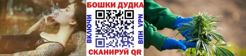 Шишки марихуана семена  блэк спрут ссылка  Приозерск 